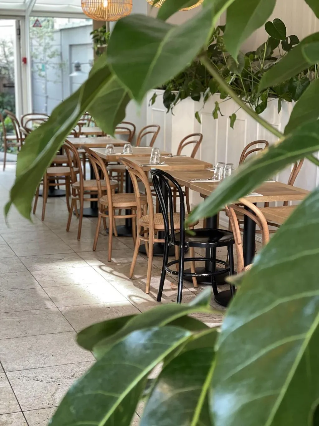 Restaurant, Hotel Alexandra, Copenhagen