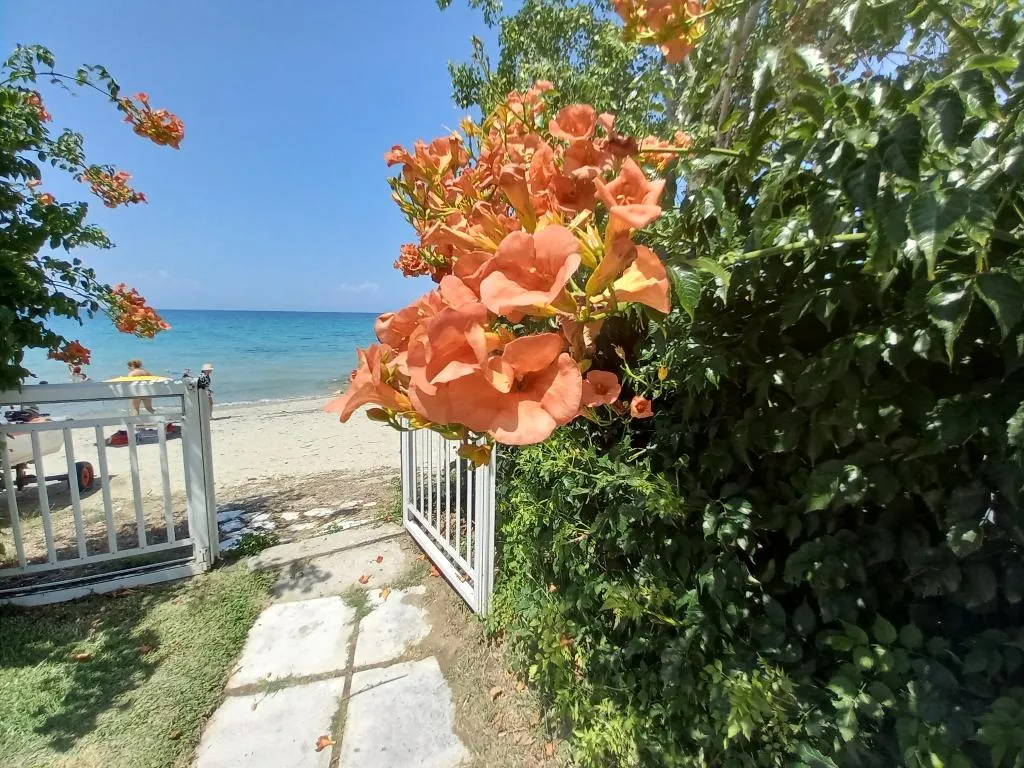General view, Greek Pride Evlogia Seaside, Halkidiki