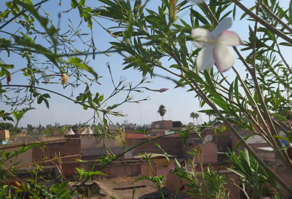 General view, Riad Hikaya, Marrakech