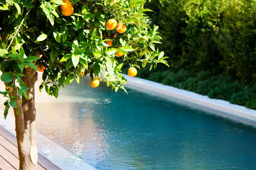 Pool, Conte Marino Villas, Crete