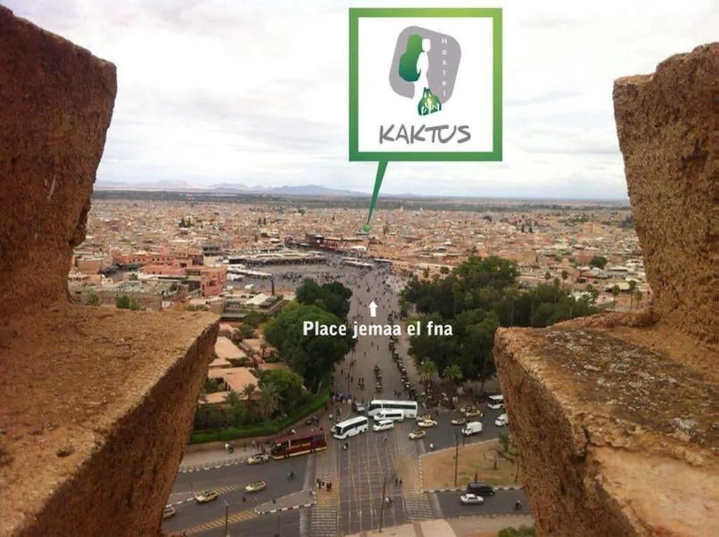 General view, Kaktus Hostel, Marrakech