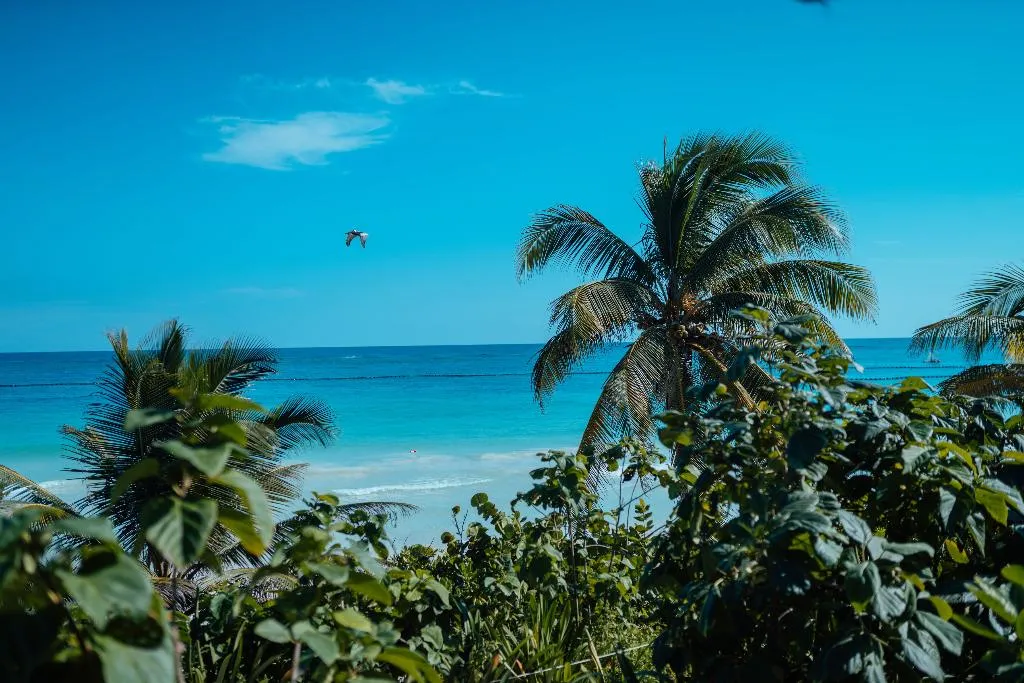 General view, Pocna Tulum Hote, Beach Clubs & Restaurants, Cancun Area