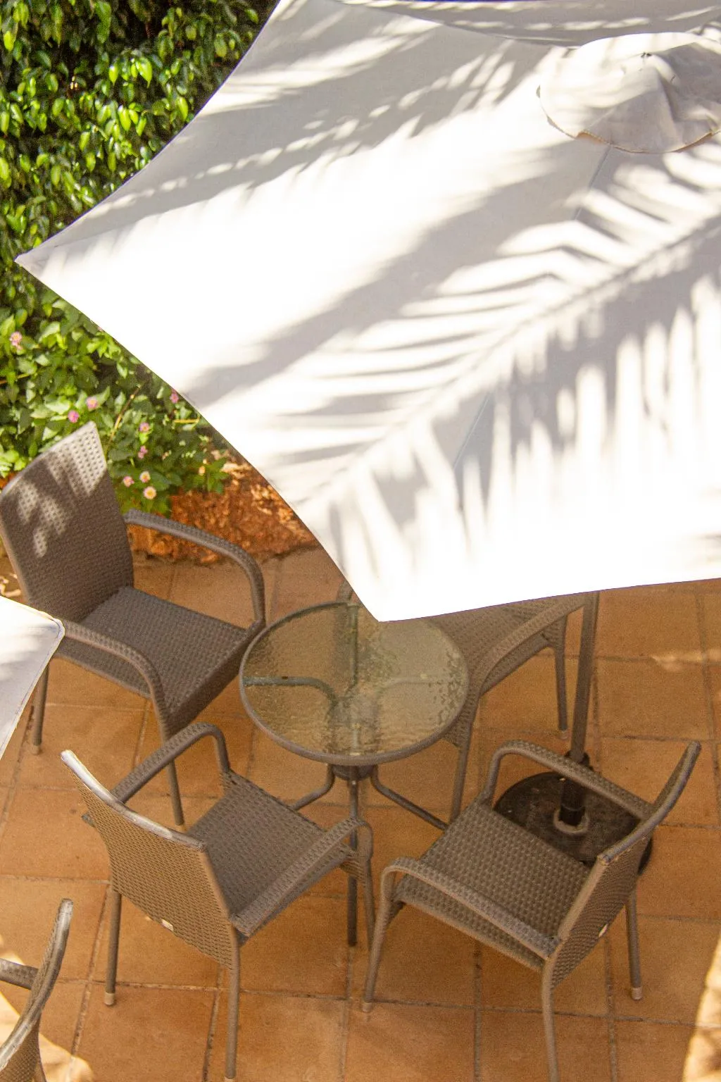 Terrace, Hotel Selva Arenal, Majorca