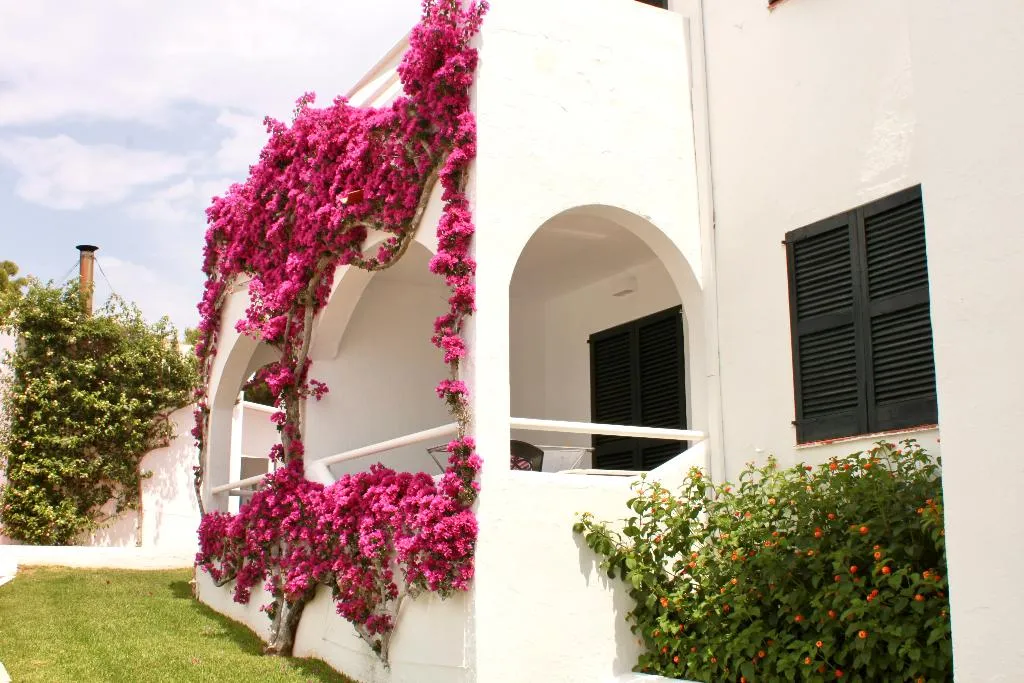APARTMENT TWO BEDROOMS Room, Apartamentos Playa Parc, Menorca