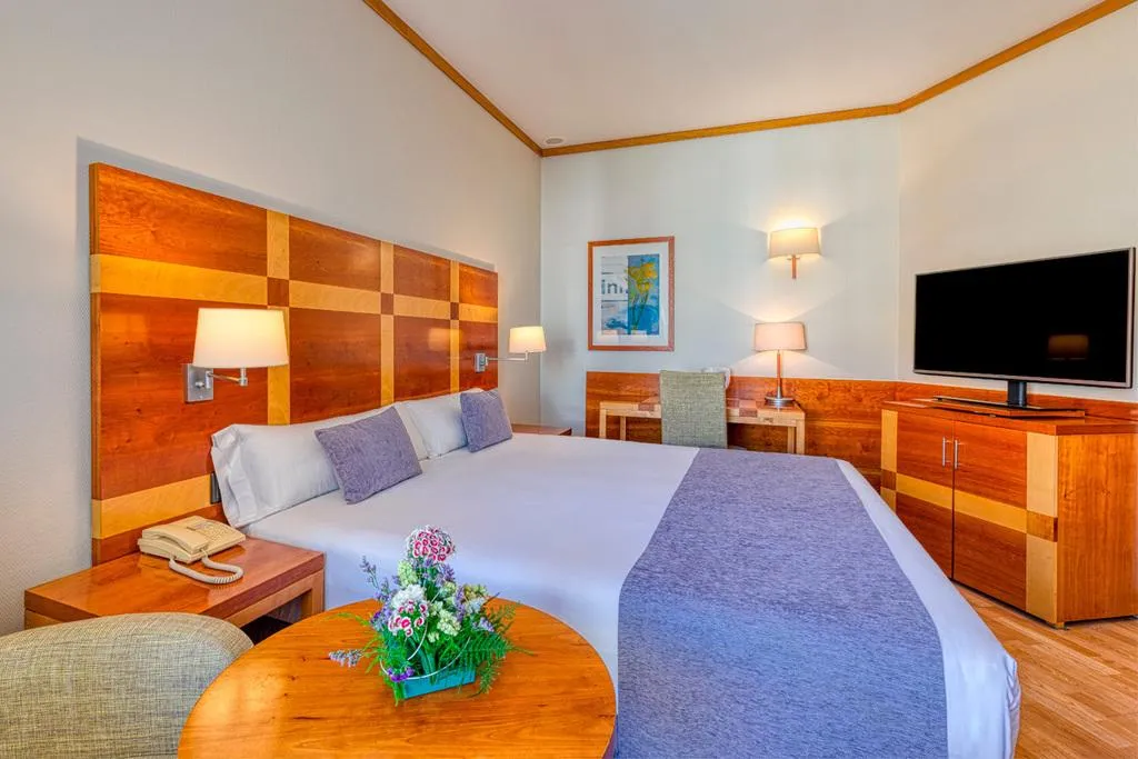DOUBLE SINGLE USE STANDARD Room, Senator Parque Central Hotel, Valencia