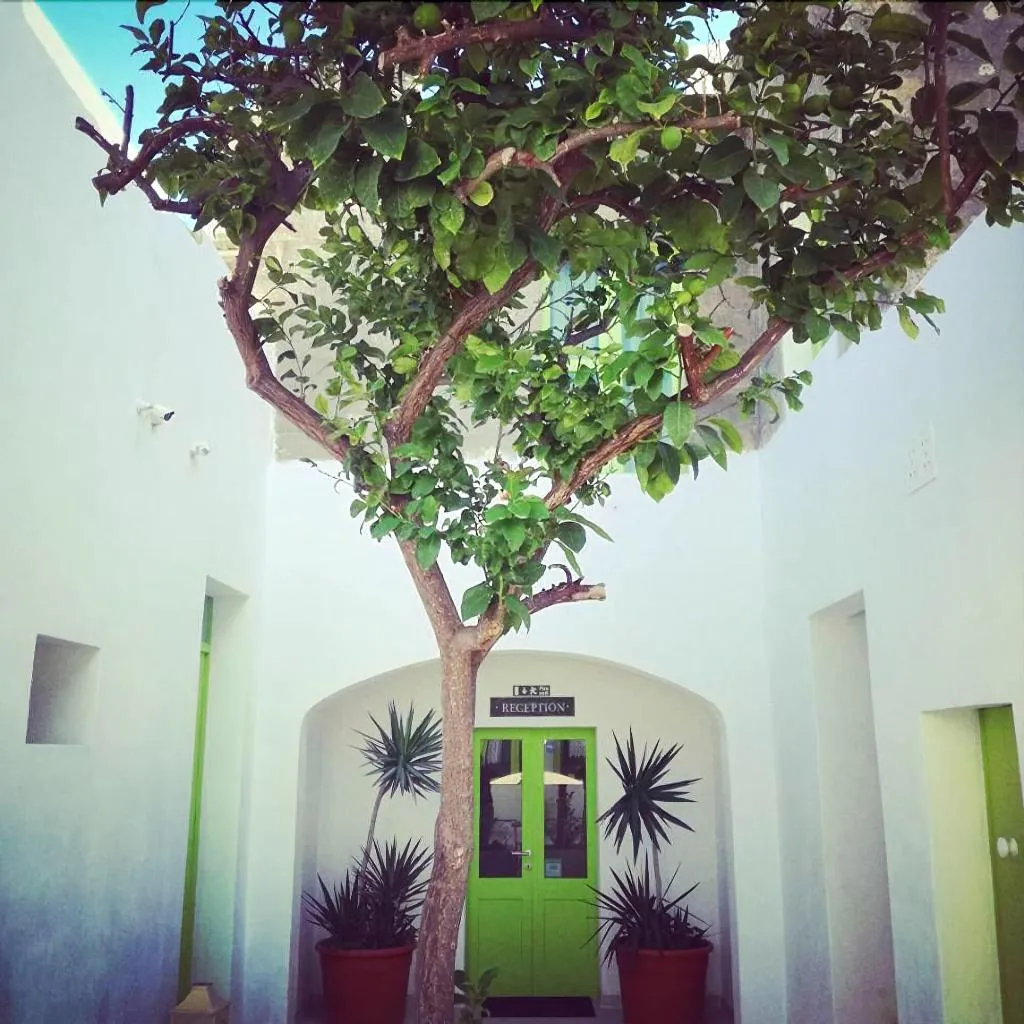 General view, Lemon Tree Bed & Breakfast by CX Collection, Malta