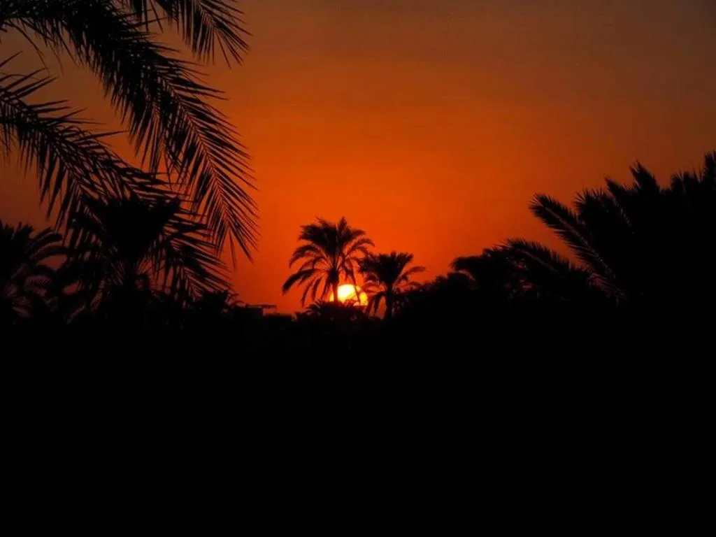 General view, Nile Compound Hotel, Luxor