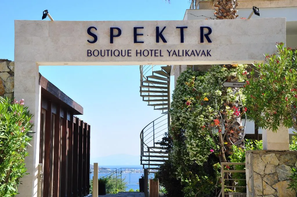 Lobby, Spektr Boutique Hotel Yalikavak, Bodrum