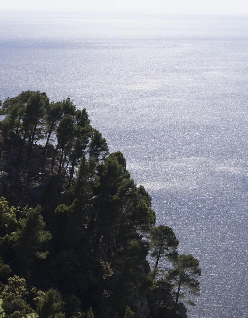 DOUBLE SUPERIOR MOUNTAIN VIEW Room, Hotel Bordoy Continental Valldemossa, Majorca