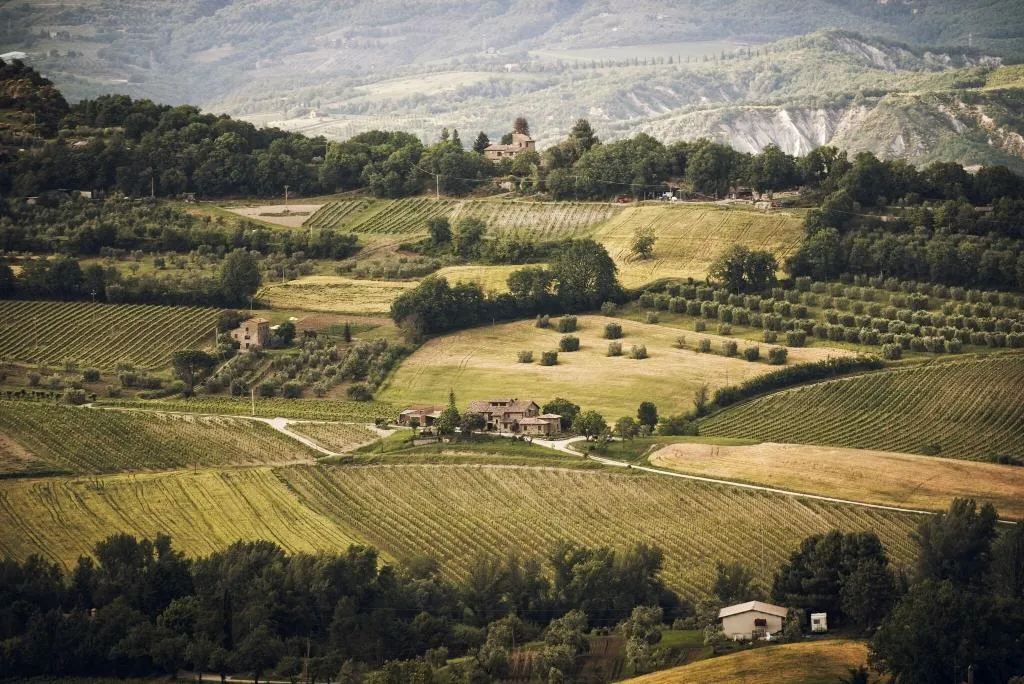 General view, Altarocca Wine Resort, Perugia