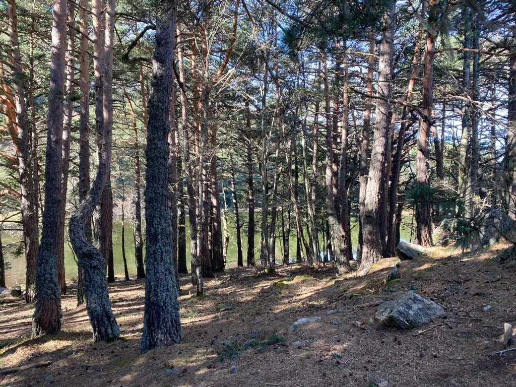 Sports and Entertainment, La Petite Bohême, Costa Brava