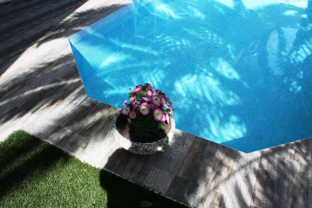 Sports and Entertainment, Hotel Cariatis, Halkidiki