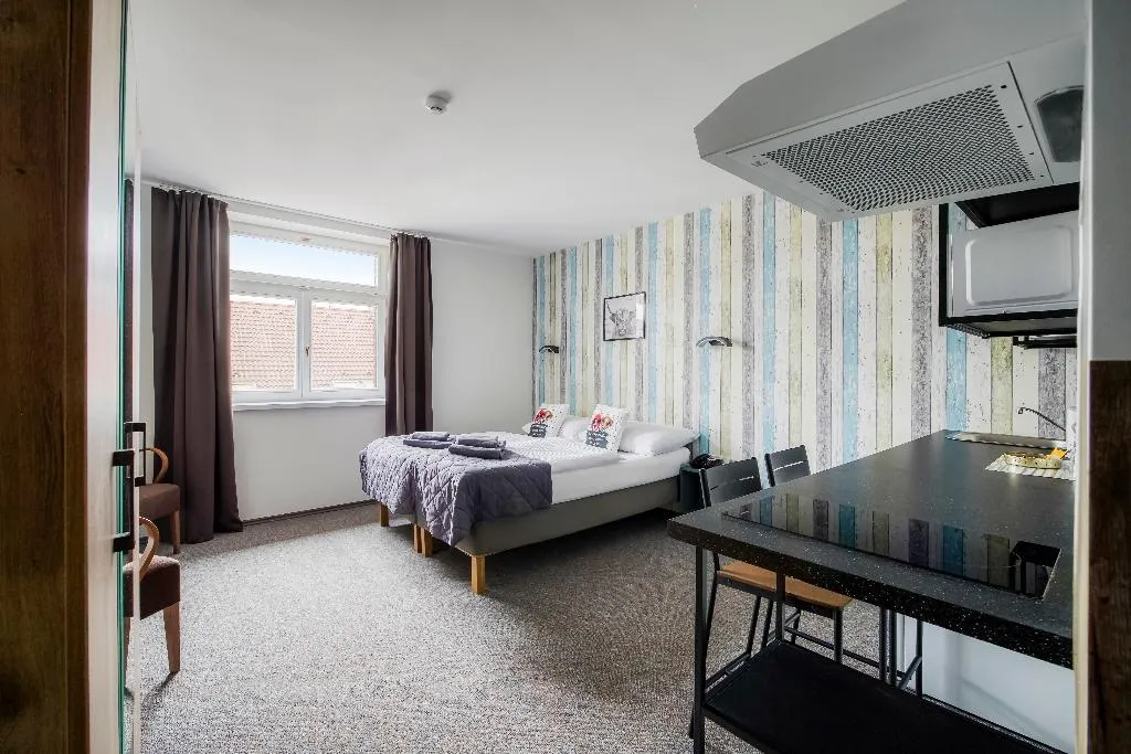 STUDIO STANDARD Room, Hotel Villa Wagner, Prague