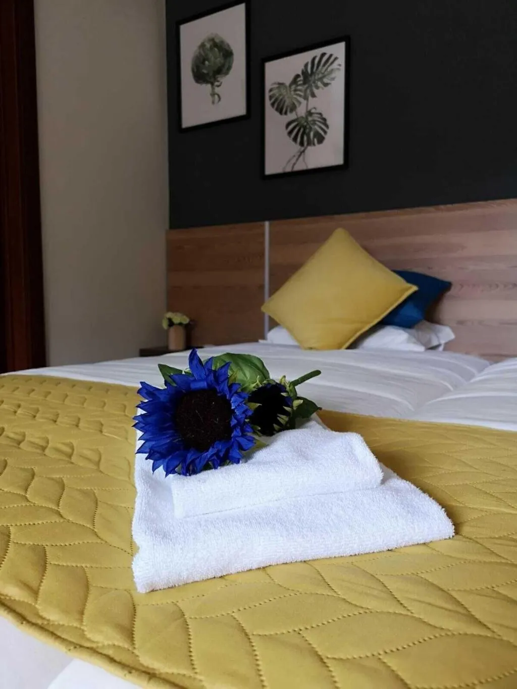 Room, Kiss - Apartamentos Turísticos, Algarve