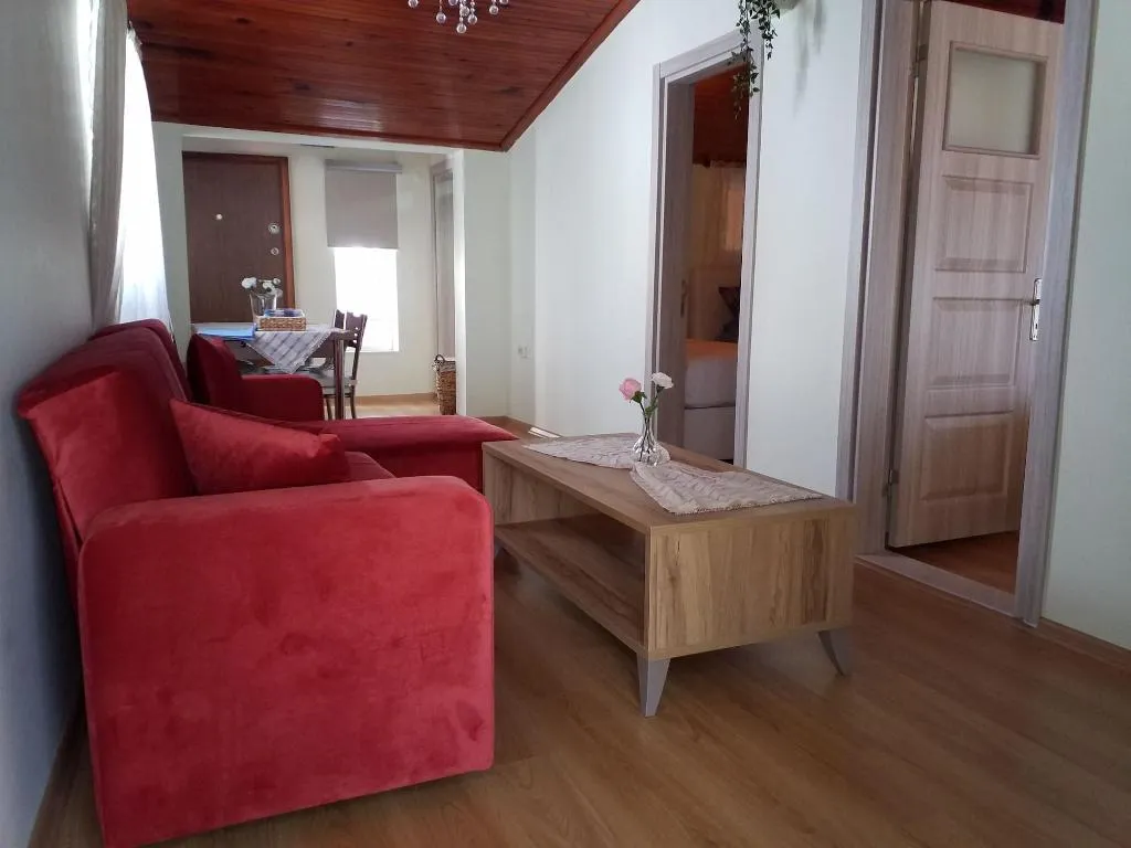 Room, Kamelya, Dalaman