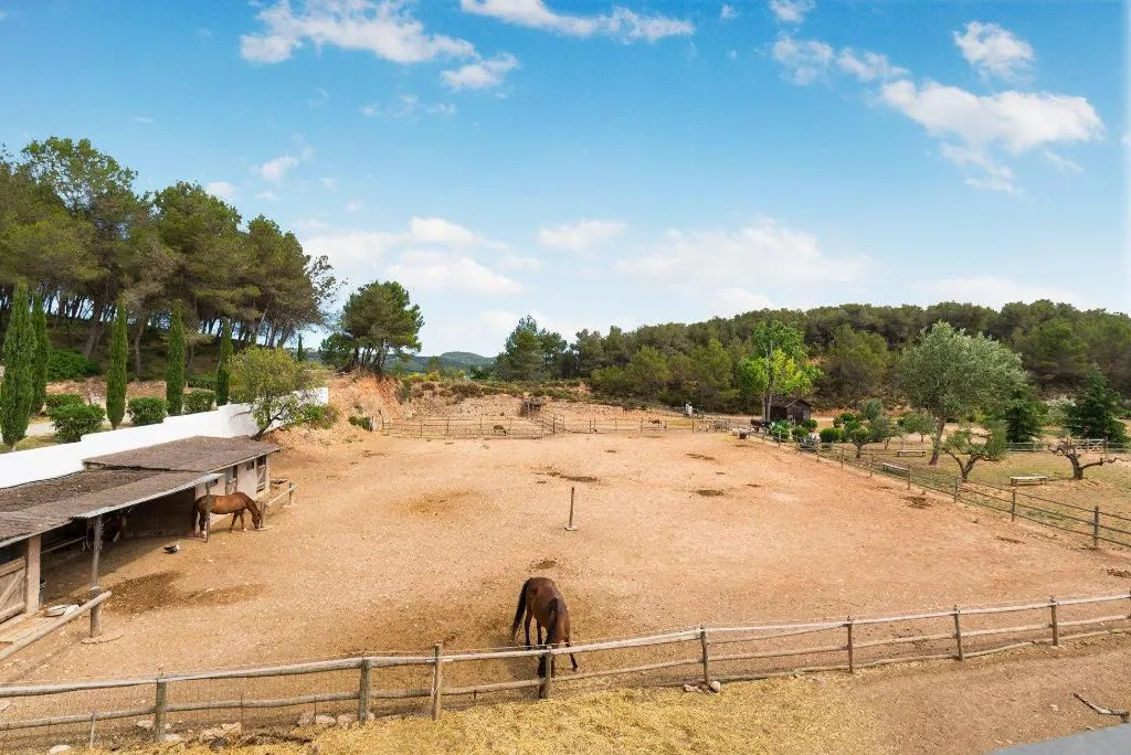 General view, Comarquinal Bioresort Penedès, Barcelona
