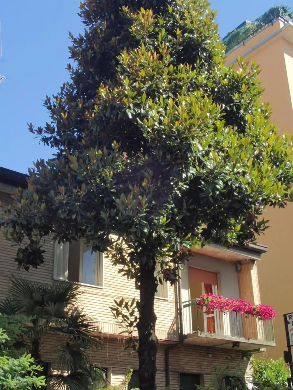 General view, Hotel Brivio, Milan