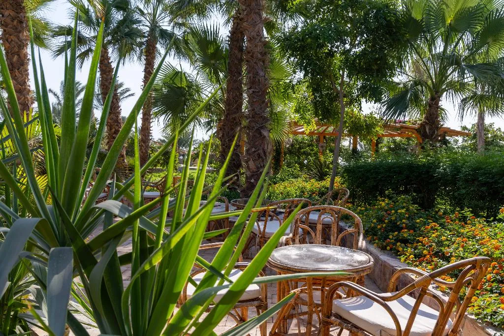 Bar, Fort Arabesque Resort, Spa and Villas, Red Sea Riviera