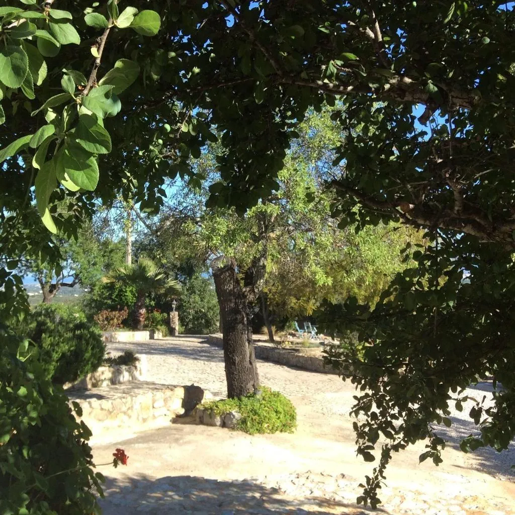 General view, Winniehill, Algarve