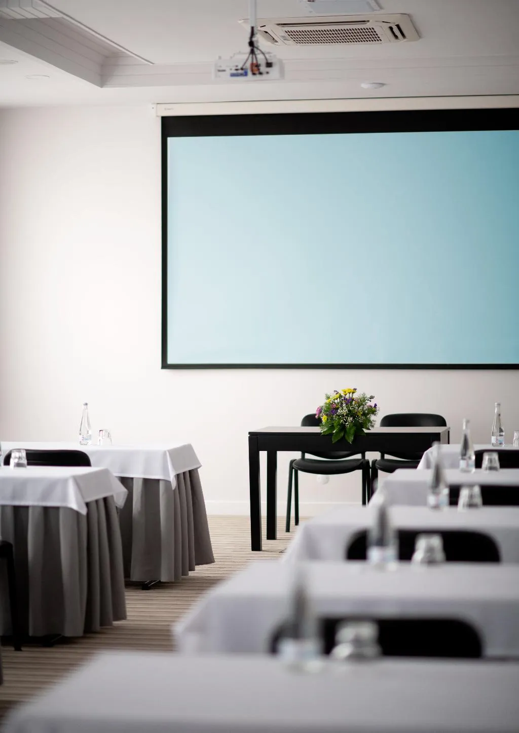 Conferences, Cristal Setubal, Lisbon