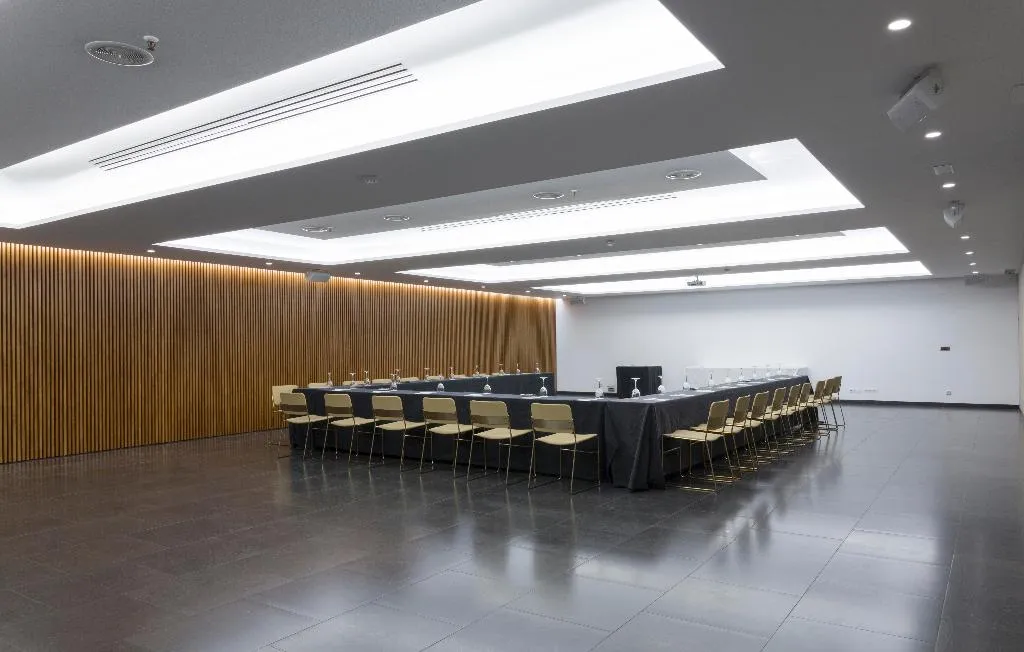 Conferences, Intelier Rosa, Valencia