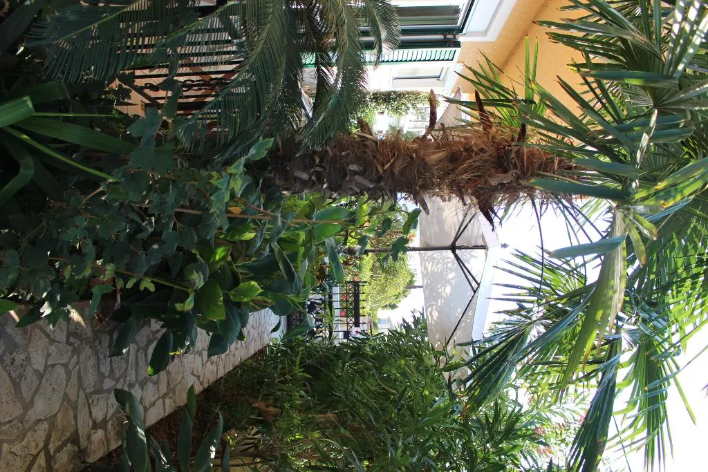 Lobby, Villa Nefeli, Corfu