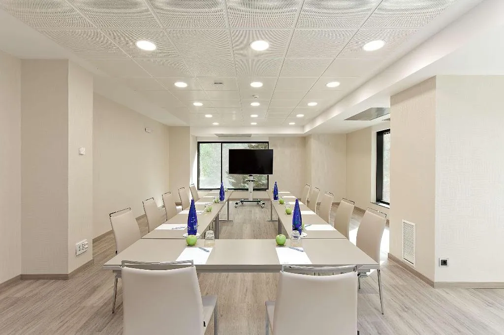 Conferences, Melia Sevilla, Seville