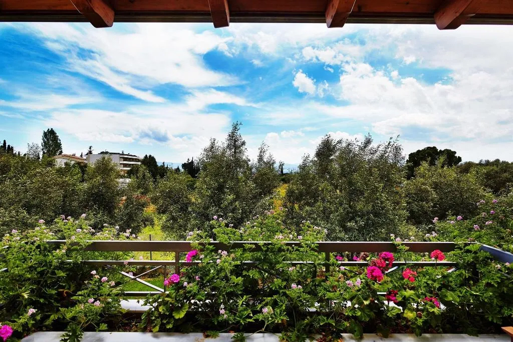 Room, Miramare Hotel Eretria, Athens