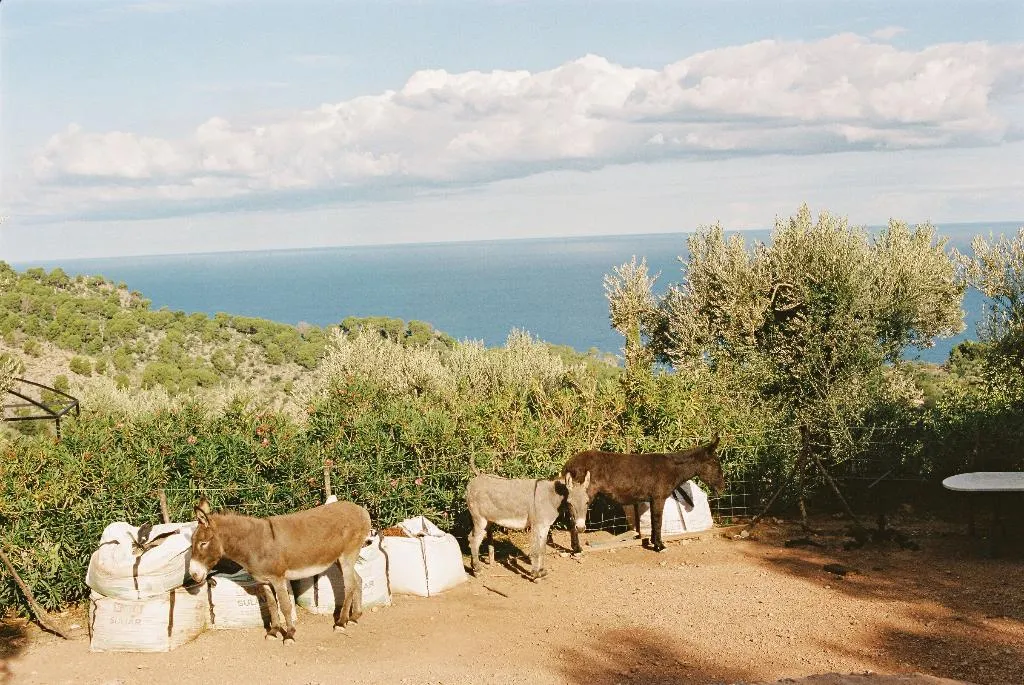 Sports and Entertainment, La Residencia, A Belmond Hotel, Mallorca, Majorca