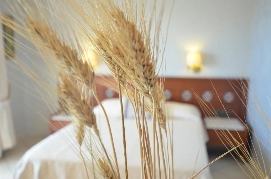JUNIOR SUITE STANDARD Room, Evilion, Thessaloniki