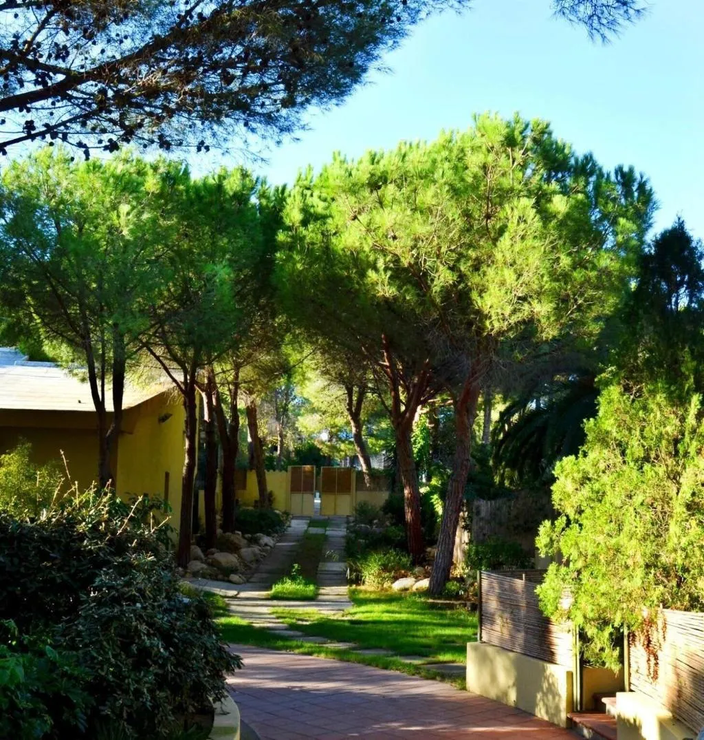 General view, Abbaechelu, Cagliari