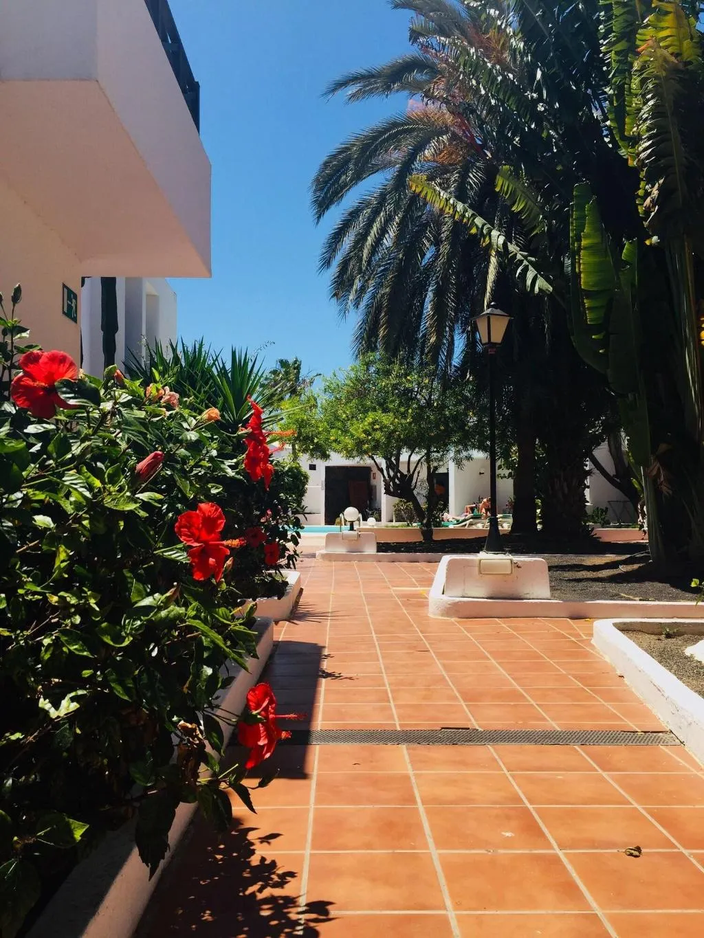 General view, Maribel, Lanzarote