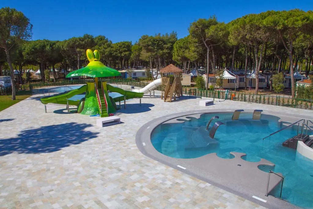 Pool, The Green Park Hotel, Venice
