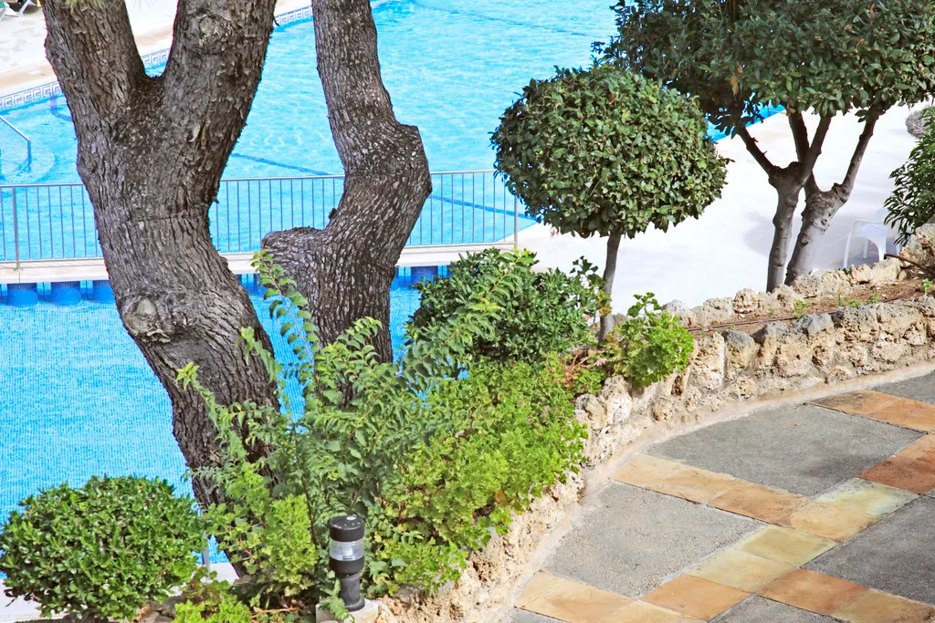 Terrace, Hotel y Apartamentos Casablanca, Majorca