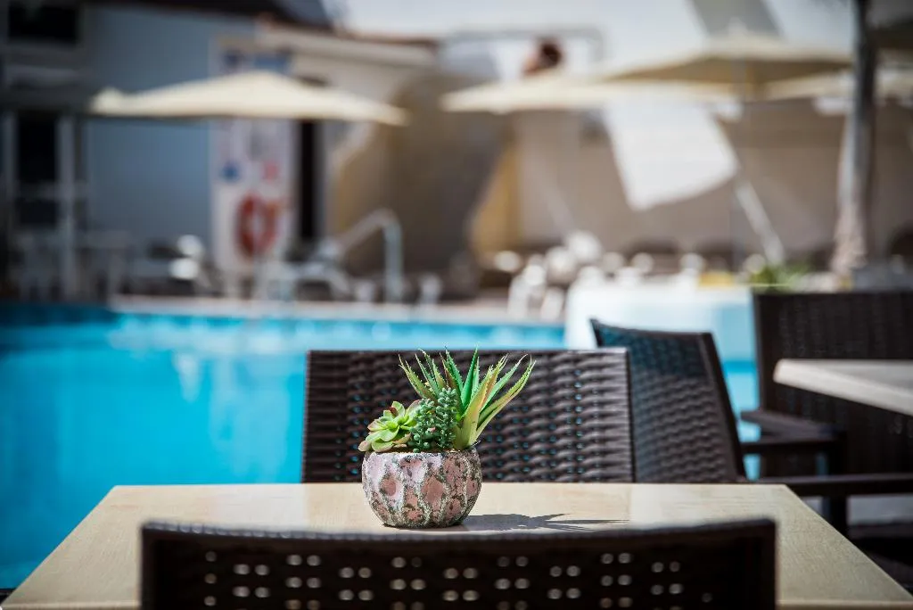 Pool, Vigilia Park, La Gomera