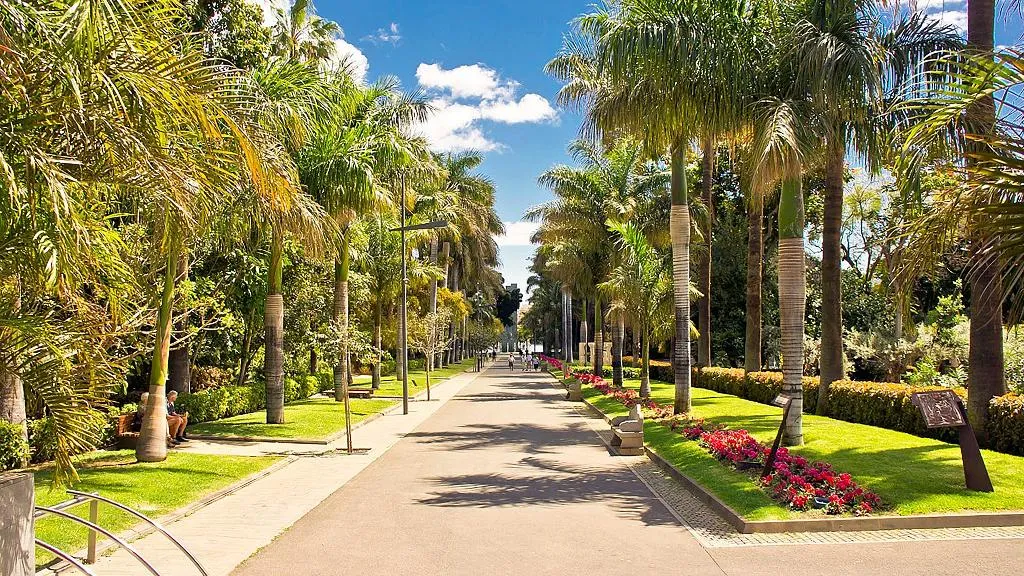 Sports and Entertainment, Adonis Capital, Tenerife