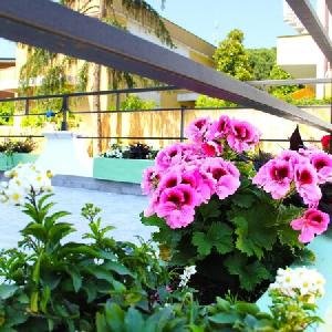 Hotel Villa Chiara, Rome
