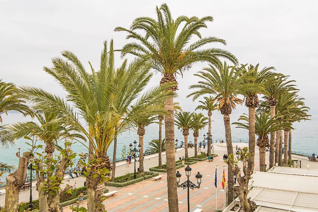 DOUBLE SINGLE USE SEA VIEW Room, Marissal, Costa Del Sol