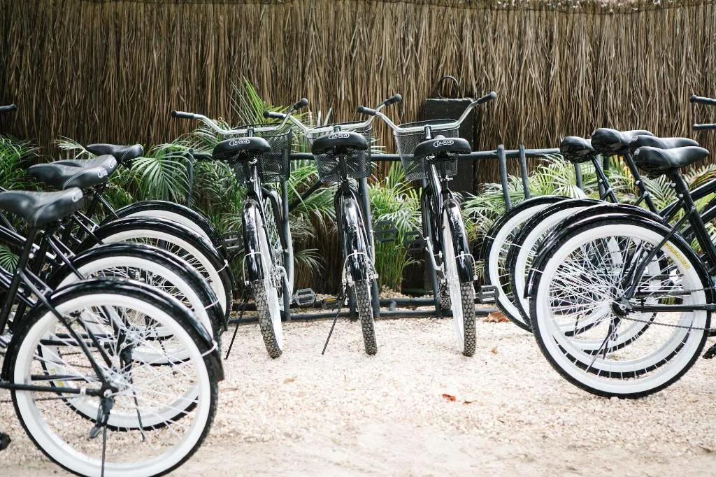 Sports and Entertainment, Gramercy Tulum, Cancun Area