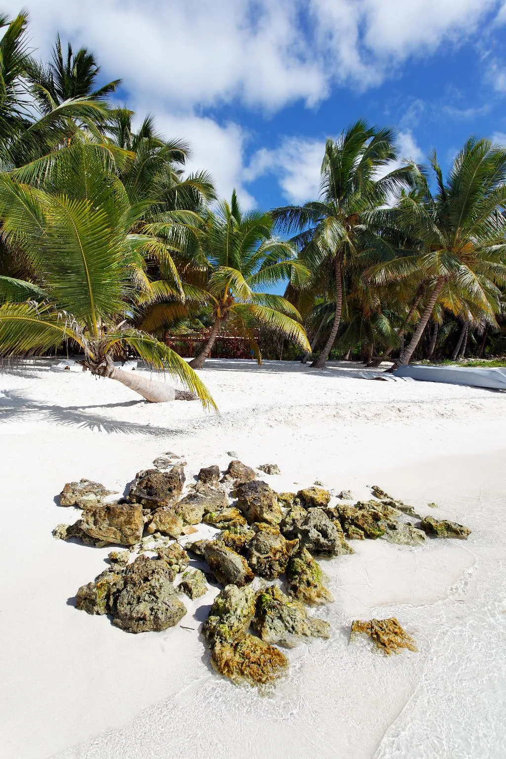 Beach, Pacha Tulum Boutique Hotel, Cancun Area