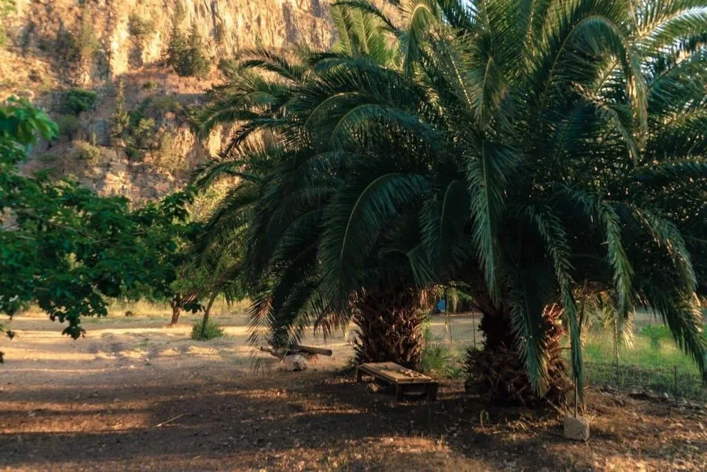 General view, Butterfly Valley Bungalov, Dalaman