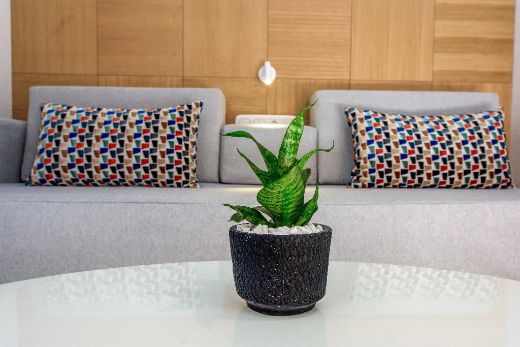 Room SUPERIOR Room, Lyttos Mare, Crete