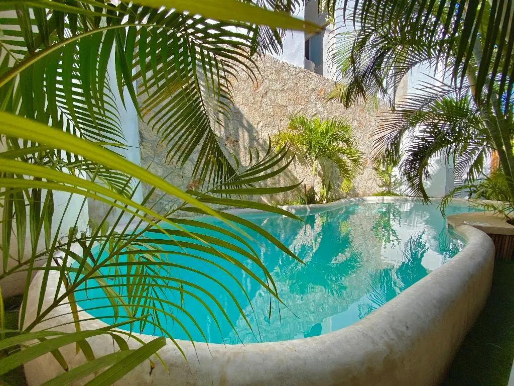 Pool, Pacha Tulum Boutique Hotel, Cancun Area