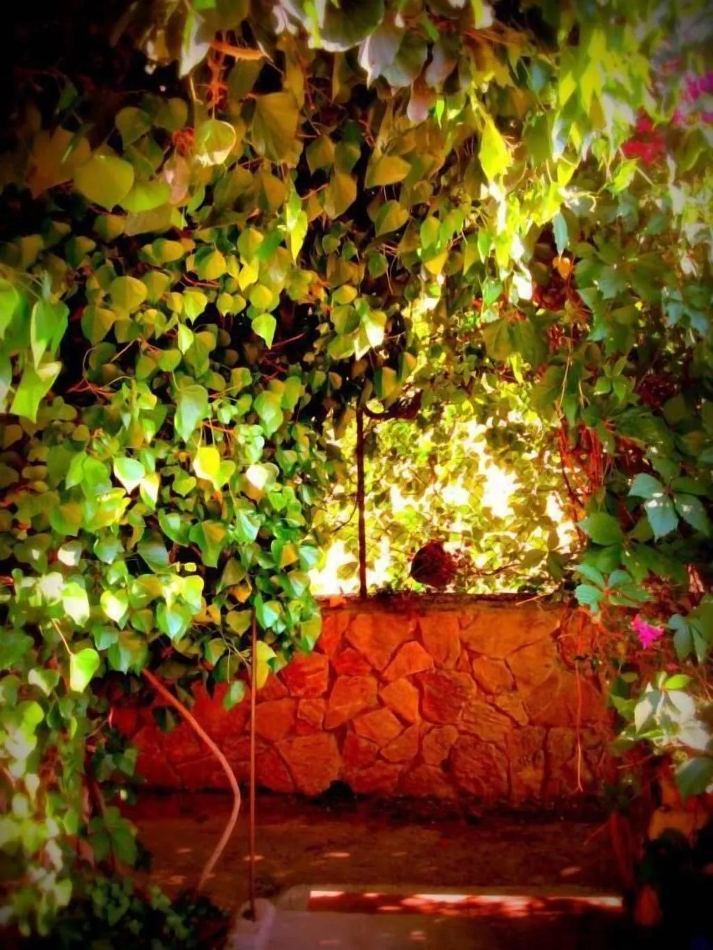 General view, Villa Ambra B&B, Catania