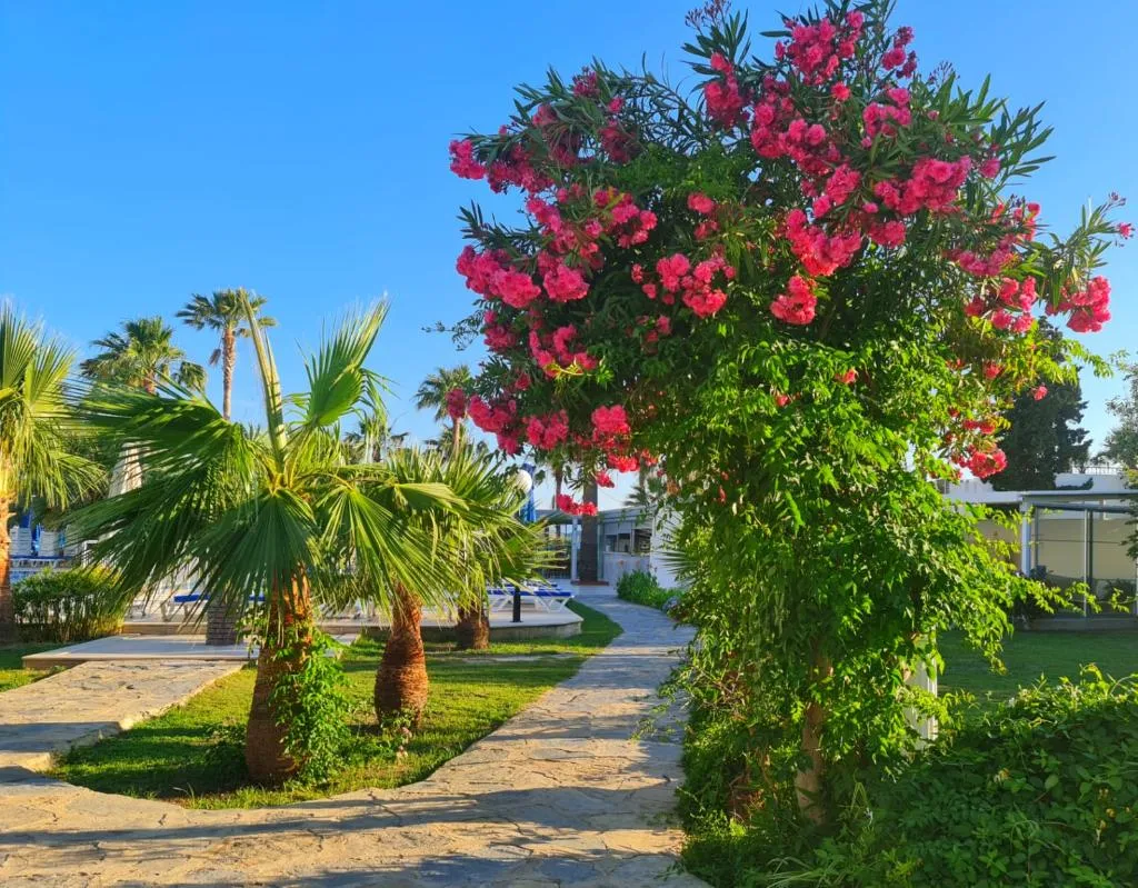 General view, Nagi Beach Hotel, Bodrum