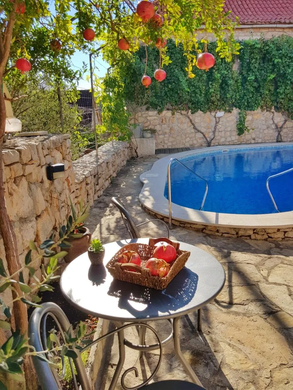 Pool, Villa Vicina, Split