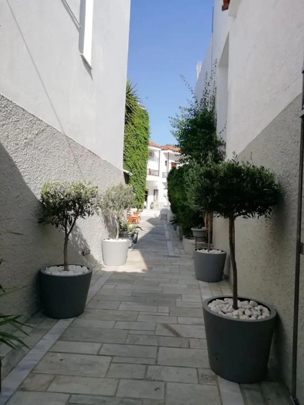 General view, Pothos Hotel, Skiathos