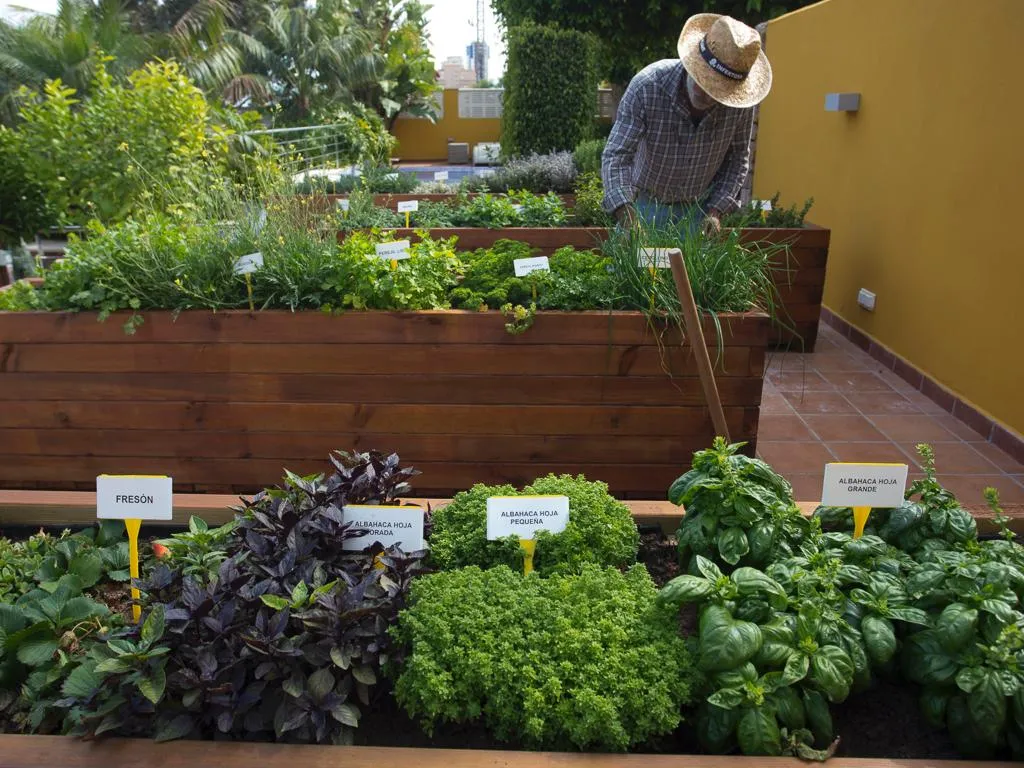 Terrace, The Cook Book Gastro Boutique Hotel and Spa, Costa Blanca