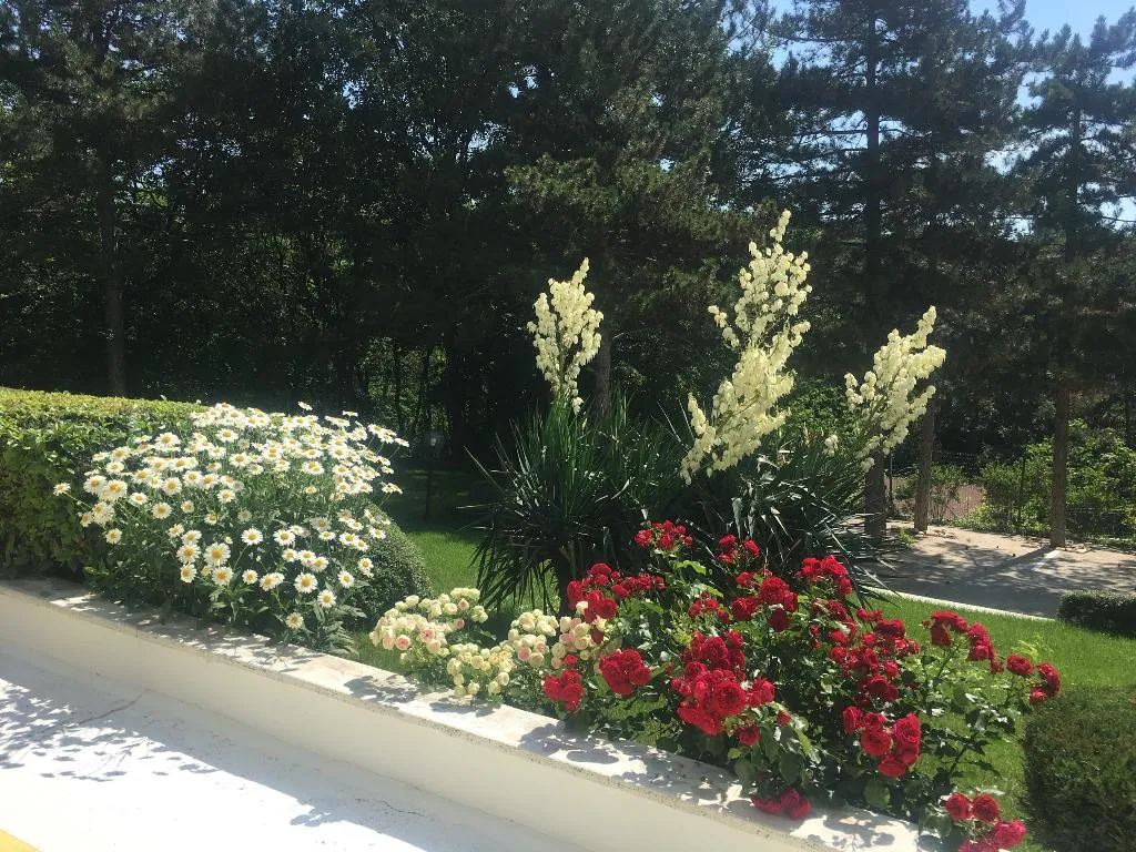 Terrace, Zora, Bourgas