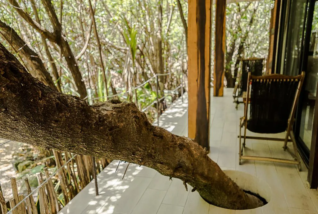 General view, Sunset House Tulum, Cancun Area